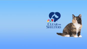 Donate to MWHS Clear the Shelters campaign