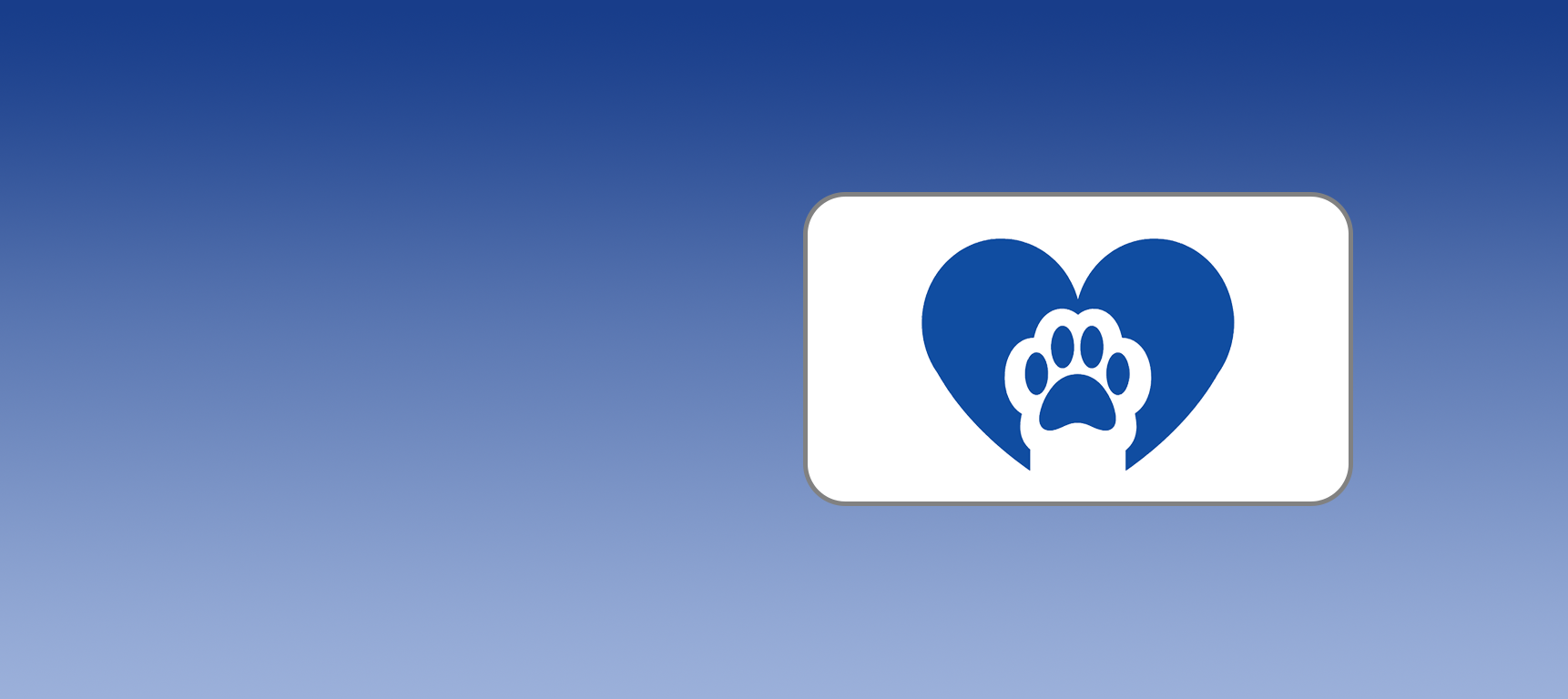 Make a donation to the MetroWest Humane Society Cat Shelter