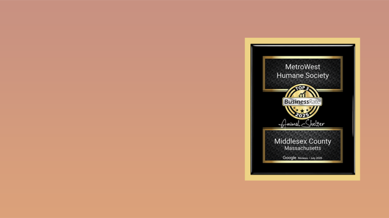 MetroWest Humane Society receives Animal Shelter Award
